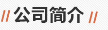 企業(yè)概況